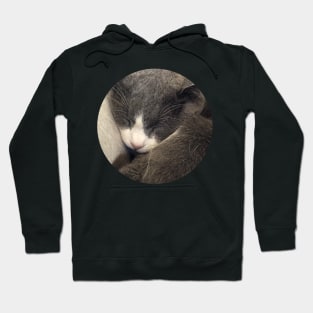 Sleeping Cat / Pictures of My Life Hoodie